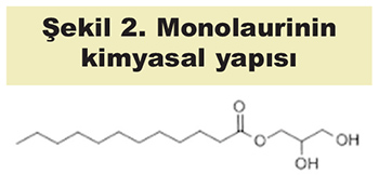 Sekil 2. Monolaurinin kimyasal yapısı