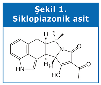Siklopiazonik asit