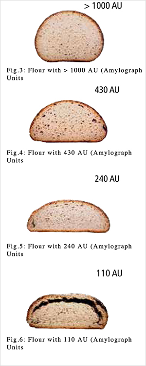 Brabender ® Amylograph - Unun jelatinizasyon özellikleri için yöntemler