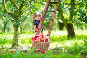 Sebze ve meyveler bebekler için özel olarak yetiştirilmeli
