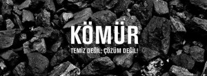 2015’in çevre açısından en iyi ve en kötü olayları