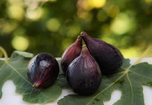 Türkiye’nin incirdeki yeni yıldızı “siyah orak” belgesele konu oldu