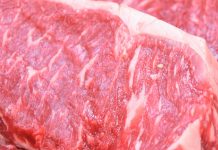 Hayvan refahı, çevre ve sağlık konularına duyarlılık artıyor