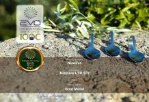 NizOlive, EVO IOOC 2026’dan Gold Medal ile döndü